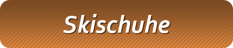 Skischuhe